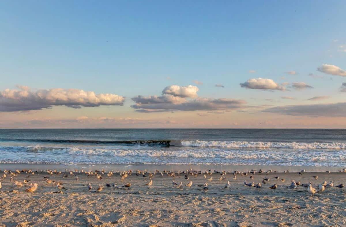 *See The Waves From Your Big Balcony*Great Pools, Hot Tubs*H34 Myrtle Beach Eksteriør billede